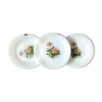 Set of 3 flowered Arcopal plates