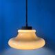 Mid Century Herda mushroom suspension