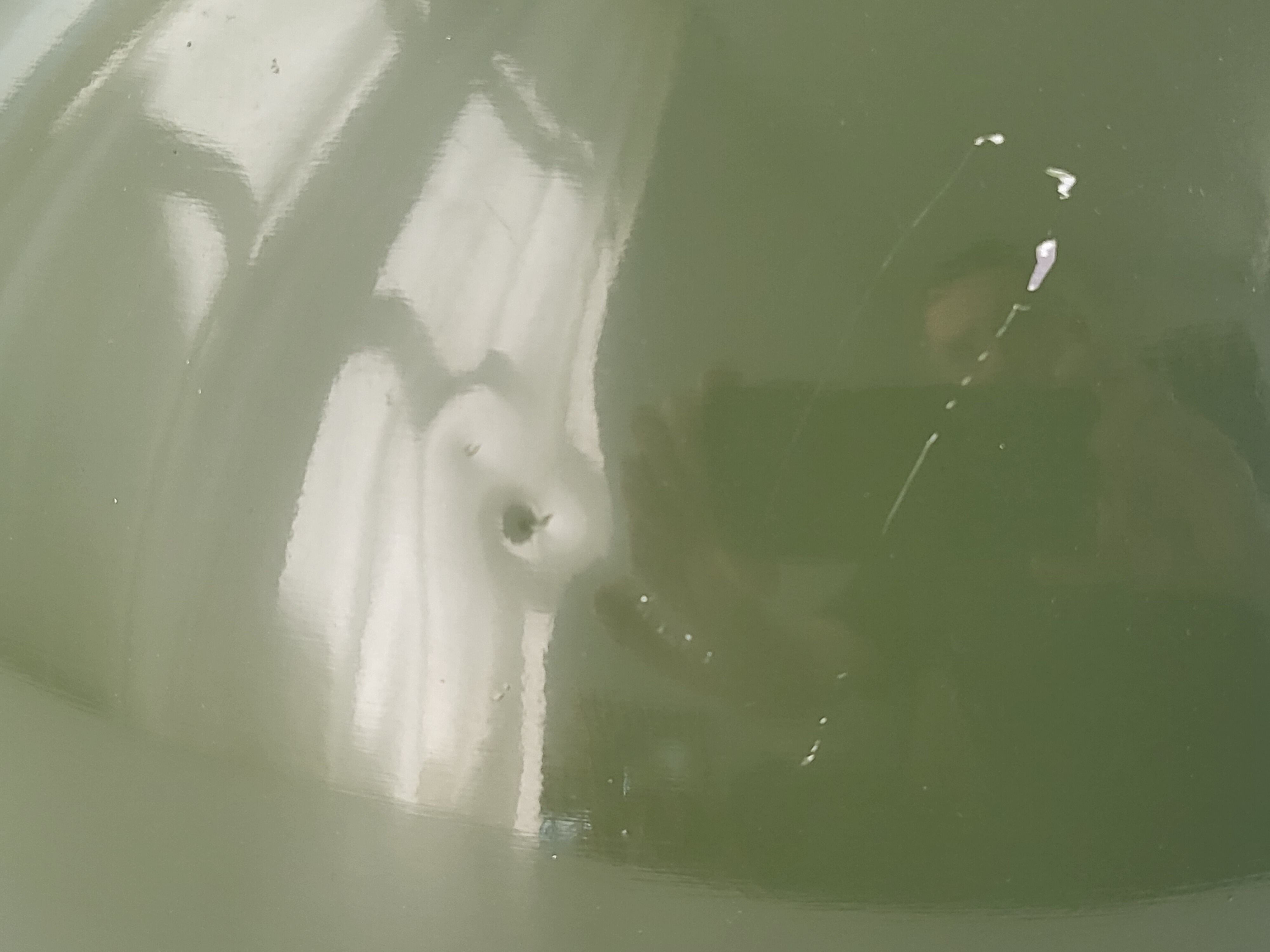 Vintage suspension Staff 1960