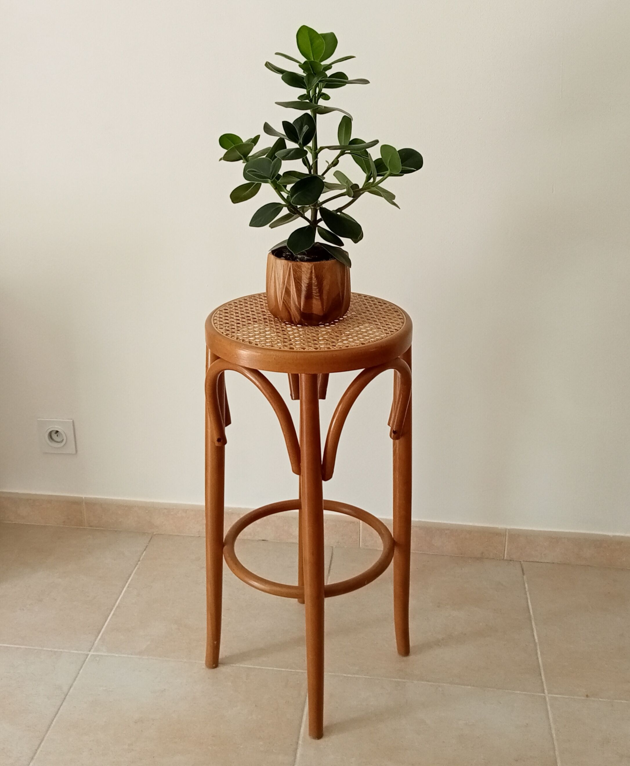 Vintage curved wooden high stool and tanned seat