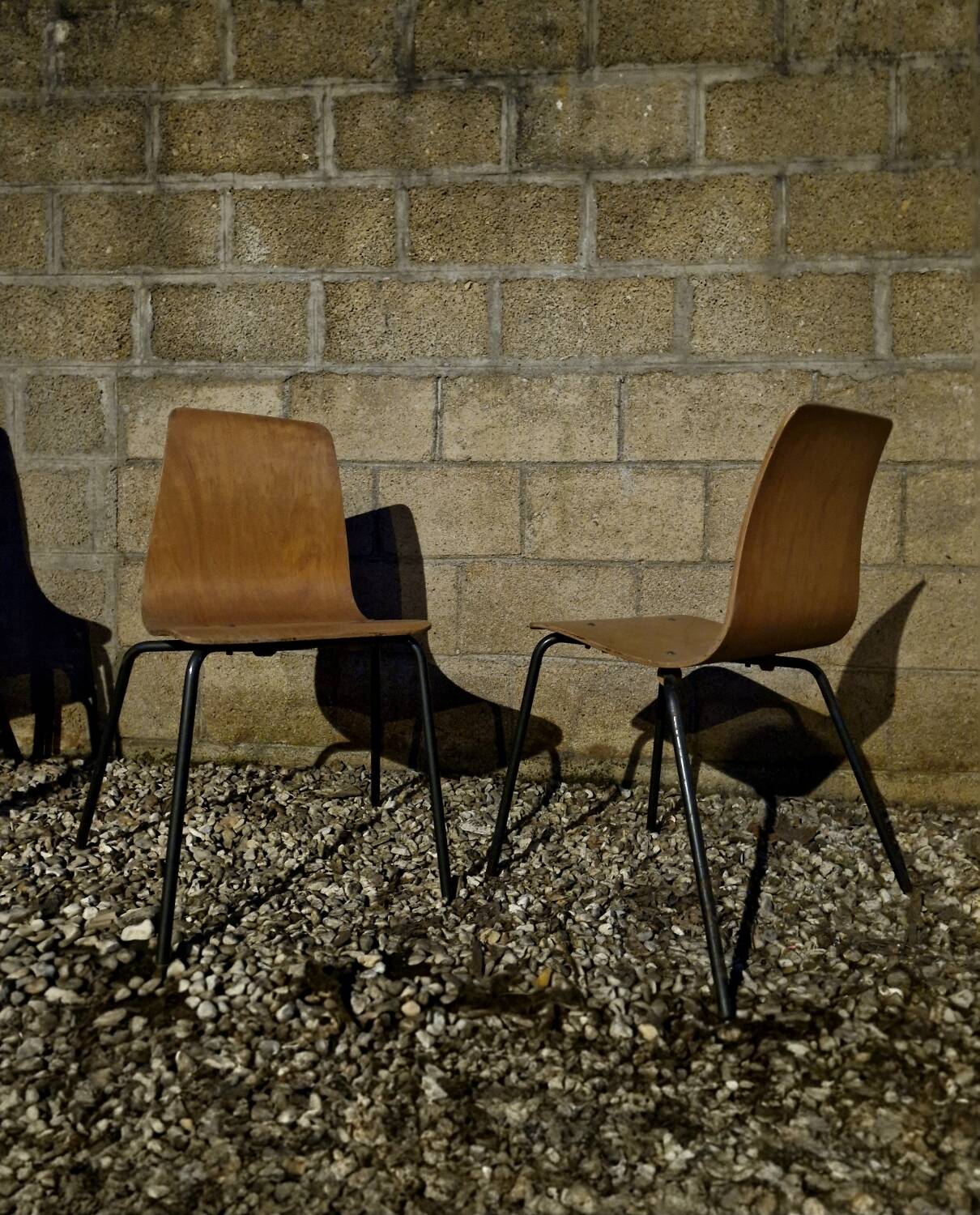 Suite de 6 Chaises Pierre Guariche modèle Papyrus Édition Steiner 1950