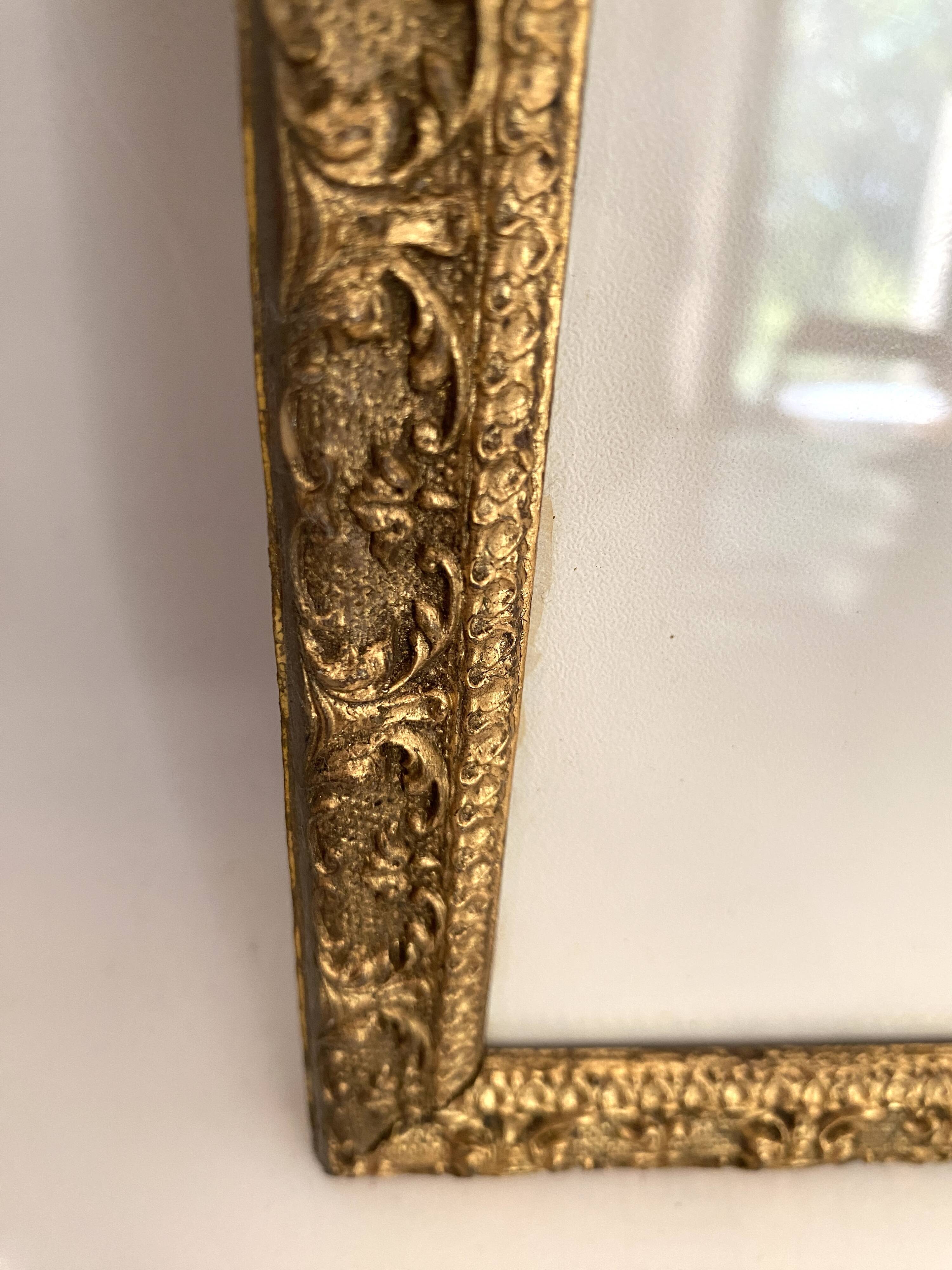 American botanical plate under glass