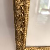 American botanical plate under glass