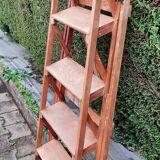 Painter's stepladder varnished