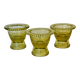 Glass cockroachs