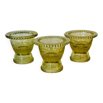 Glass cockroachs