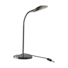 Side glass gooseneck table lamp