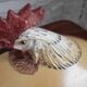 Vintage ceramic terrine