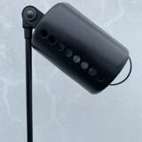 Lumina floor lamp, Daphine Terra Dimmer, Italian design Tommaso Cimini, 1970