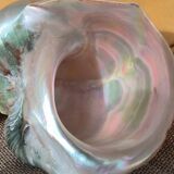Mother of pearl shells