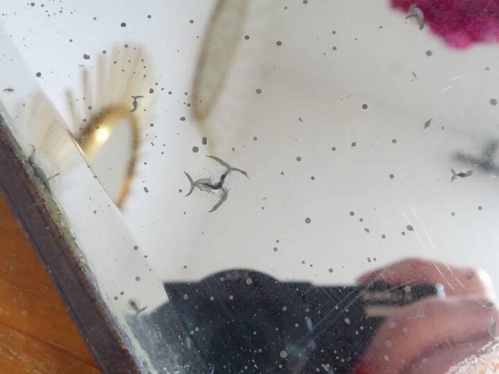 Table mirror on a brass easel