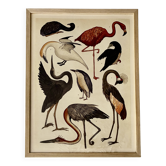 Illustration oiseaux encadrée