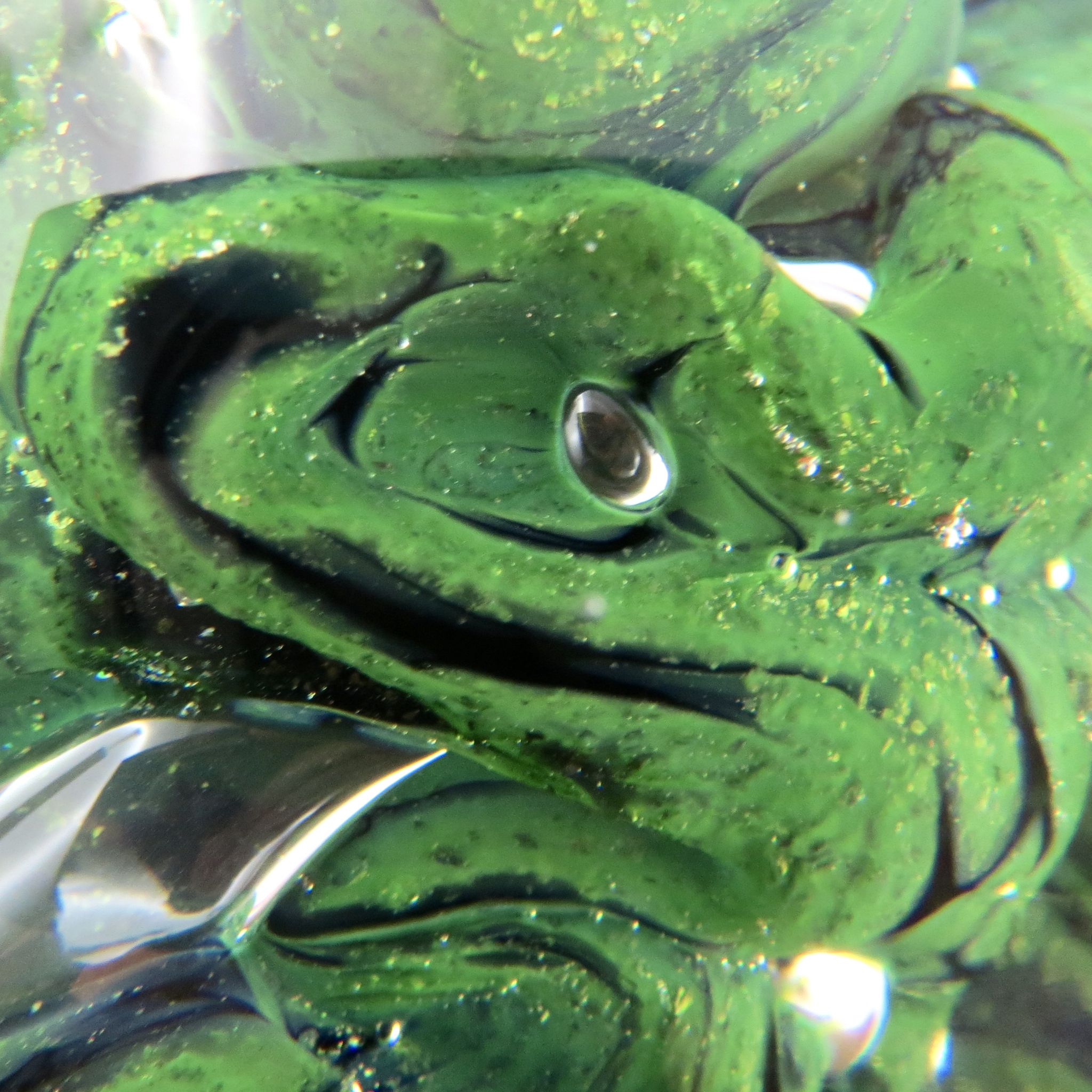 Sulfide paperweight robert pierini glass biot glass paperweight/novaro/green.