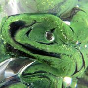 Sulfide paperweight robert pierini glass biot glass paperweight/novaro/green.