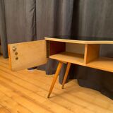 Modernist cupboard, 1960s