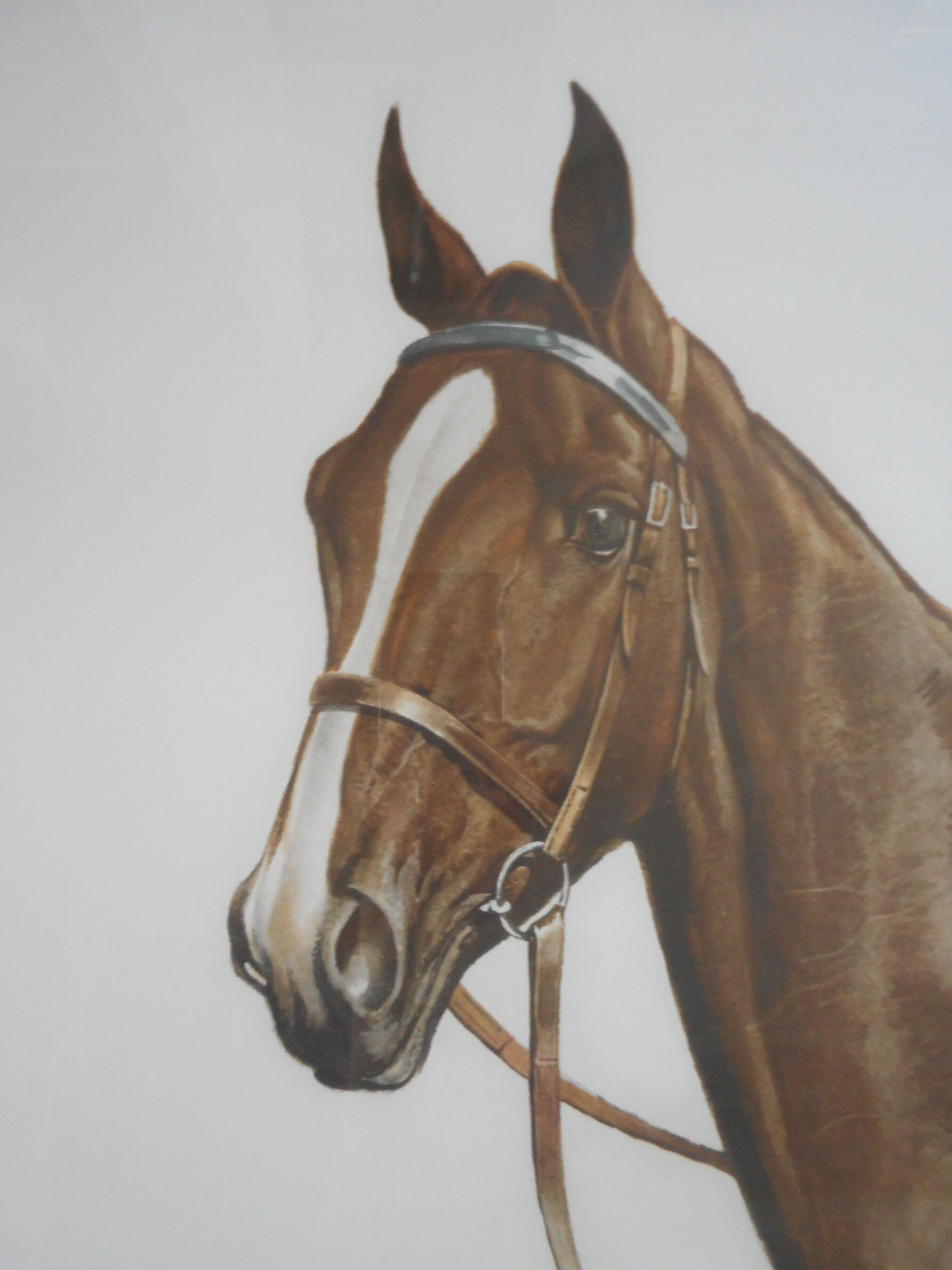 Portrait of a horse lithograph by jean rivet