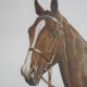 Portrait de cheval lithographie de jean rivet