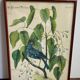 Ornithological posters
