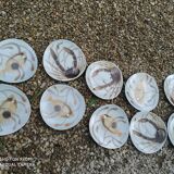 Service flat plates