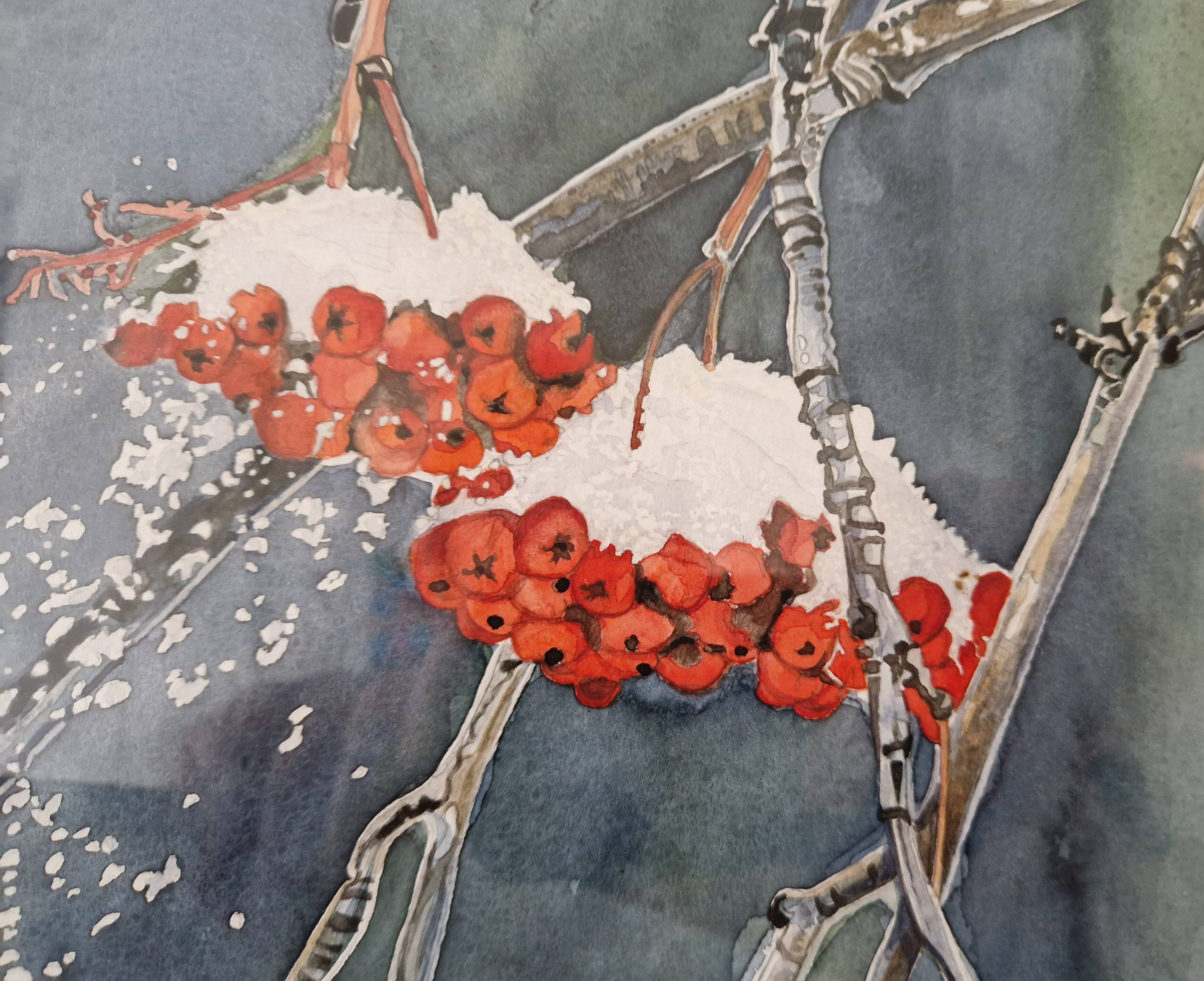 Original framed watercolor bird on snowy rowan tree