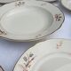 Set 8 plates and dish Villeroy & Boch Mettlach tulips 1940