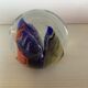 Sulfide bubblefish