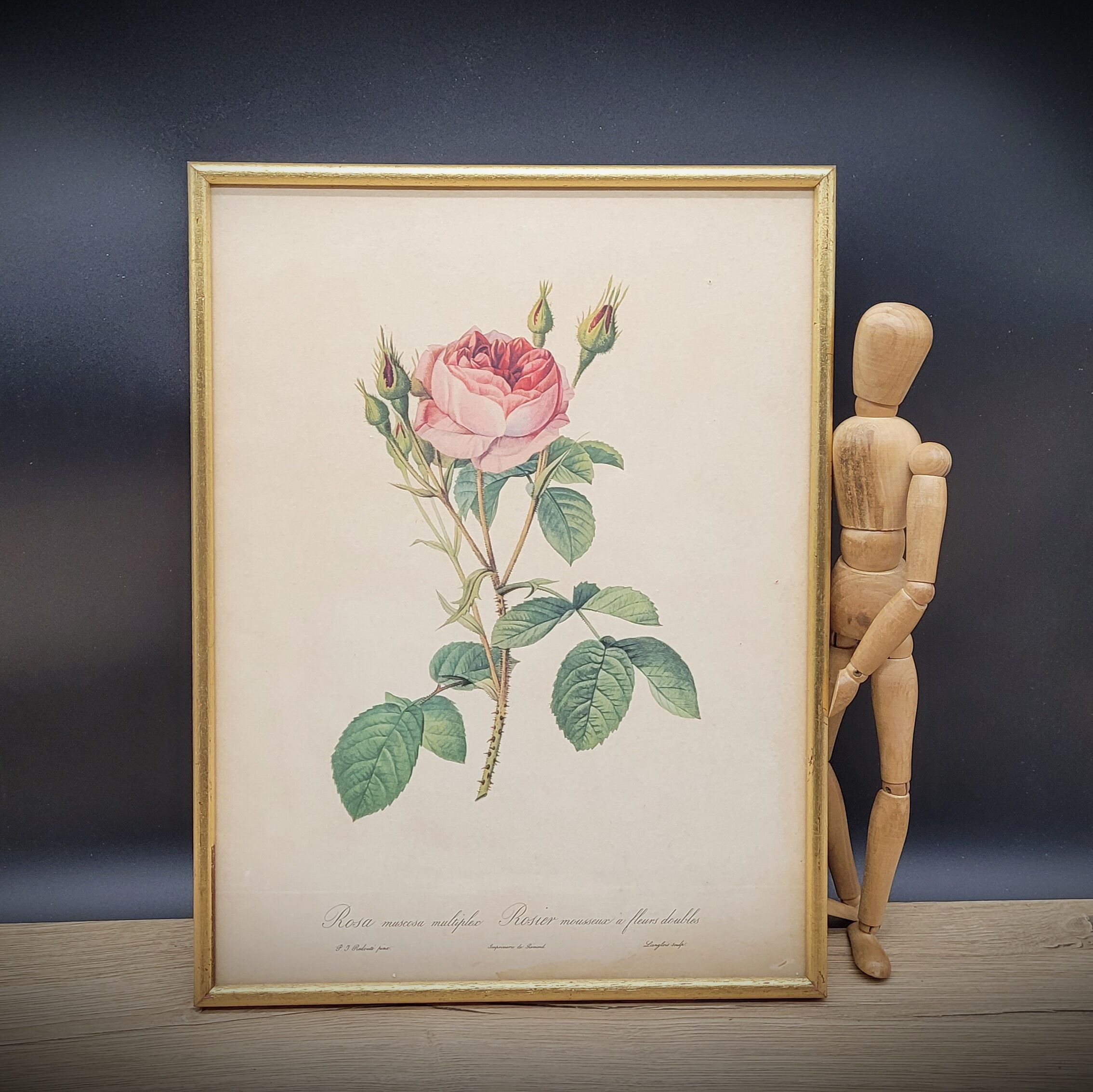 Litho frame sparkling rose with double flowers