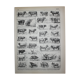 Engraving • Beef, cow, bull, calf • Original lithograph from 1898