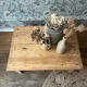 Table basse de ferme vintage (rénovée)