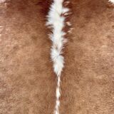 Cowhide carpet