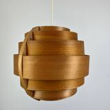 Scandinavian Suspension by Hans Agne Jakobson, pin 1960