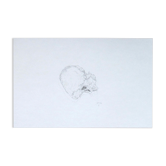 Pain au chocolat, dessin original