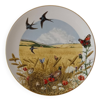 Collectible English porcelain plate