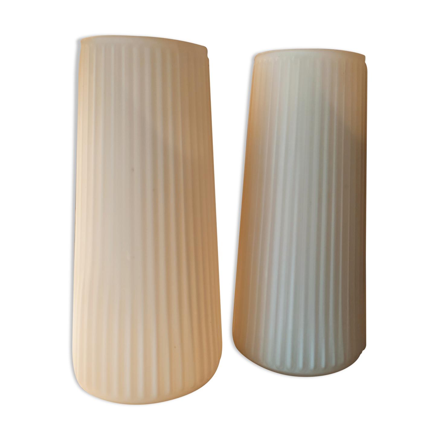 Striated opaline tulips