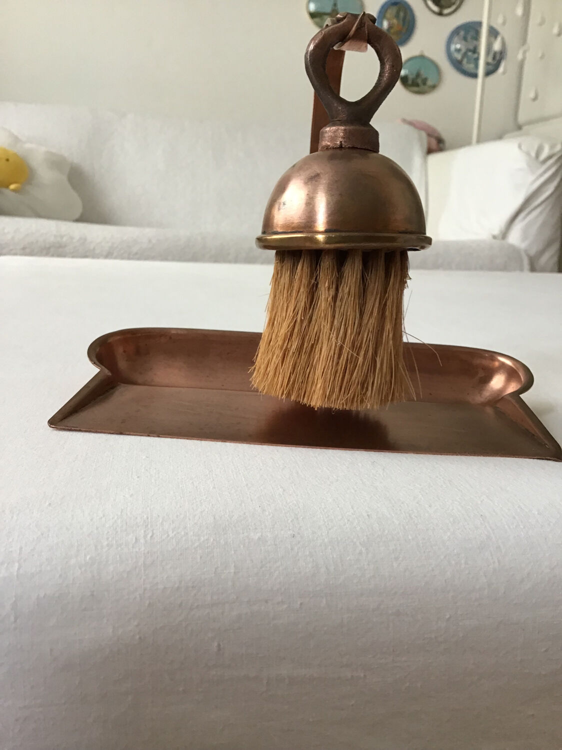 Ramasse miettes de table