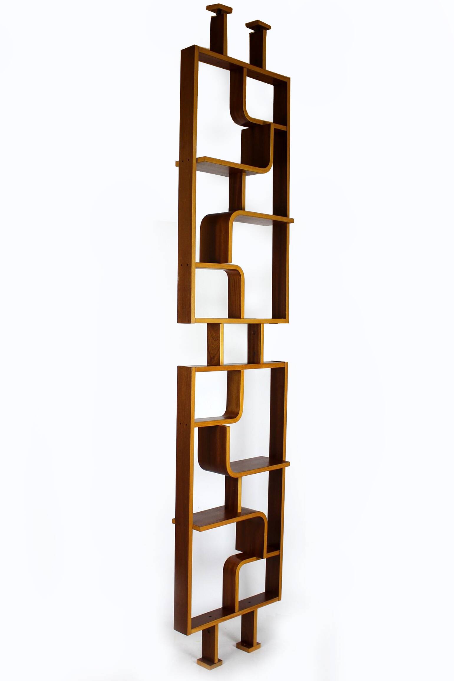 Mid-Century Room Divider by Ludvik Volak for Drevopodnik Holesov, 1960s