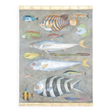 Painted canvas representing a board of fish. Contemporary work.