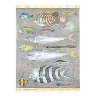 Painted canvas representing a board of fish. Contemporary work.