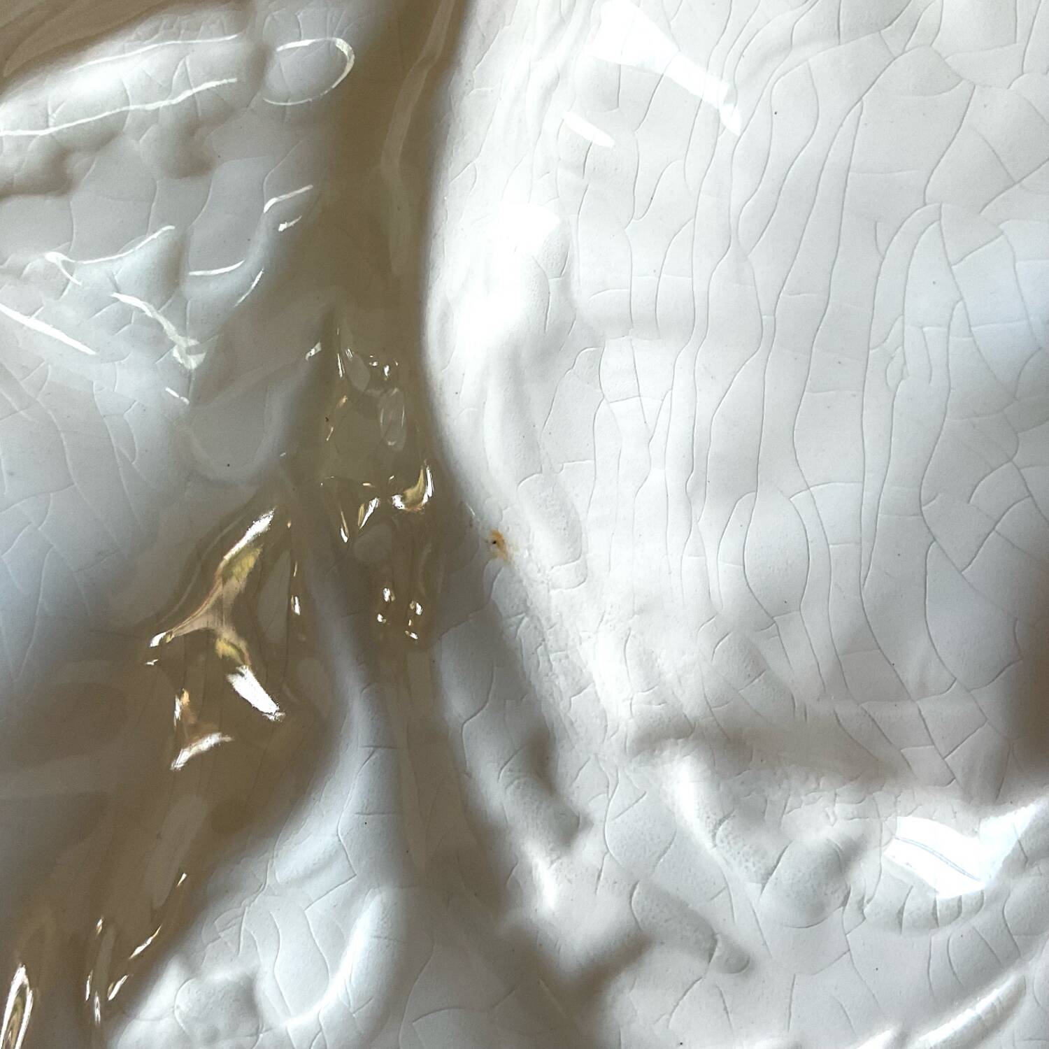Vintage gien france oyster dish