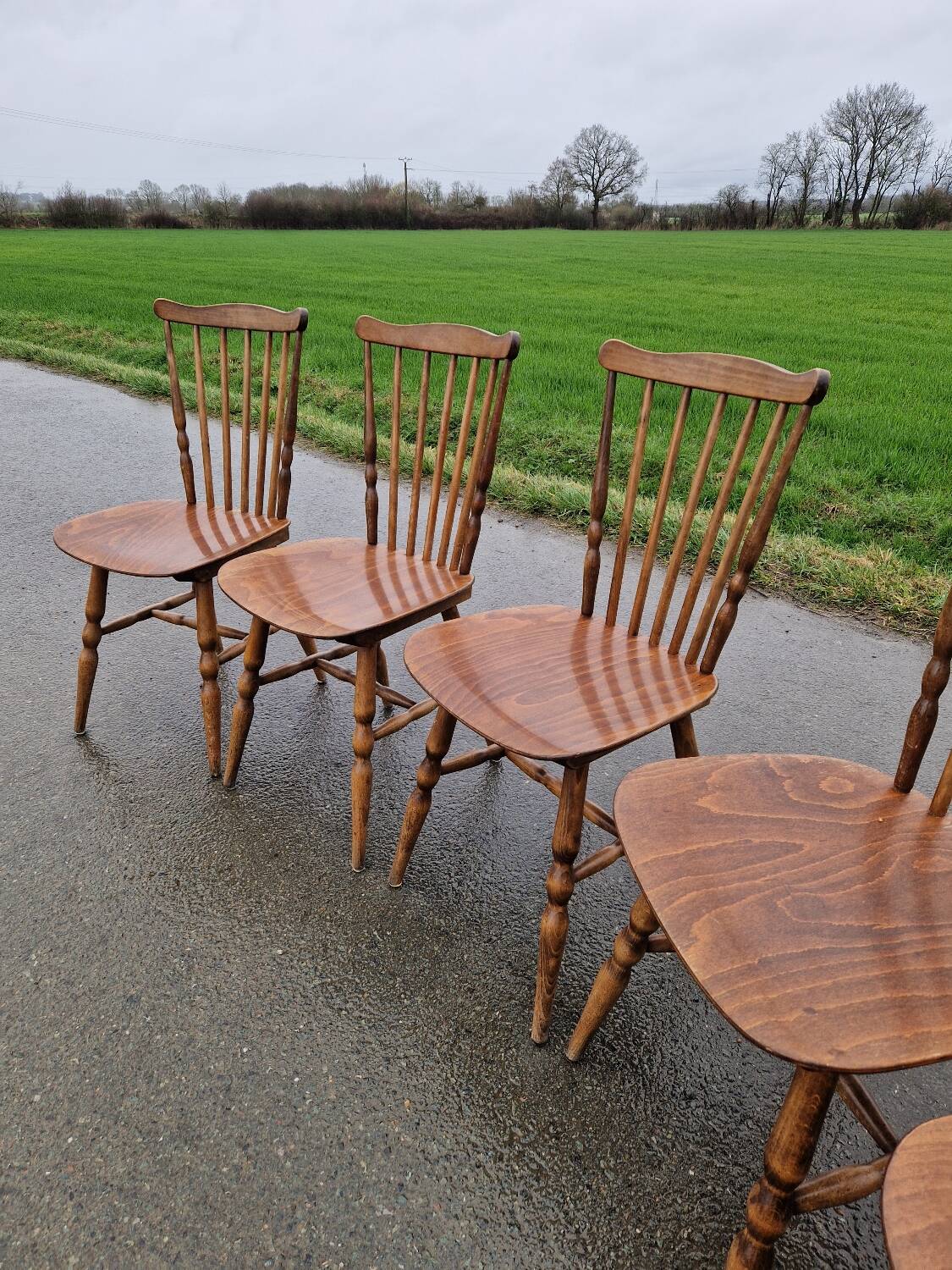 Set of 5 Baumann bistro chairs model Tacoma.