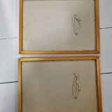 Framed botanical plates