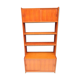 Vintage teak library