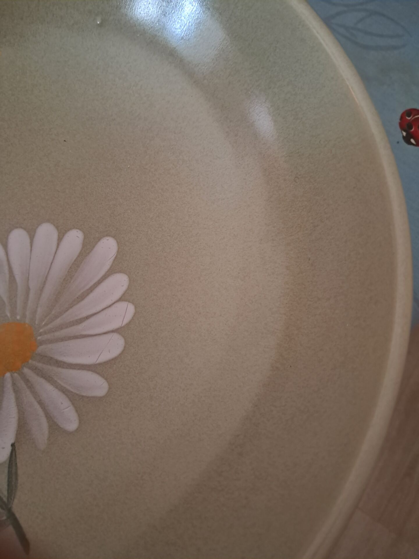 4 vintage Longchamp dinner plates
