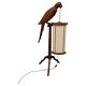 Mid Century Modern "Parrot" floor lamp attributed to Aldo Tura, 1950s.