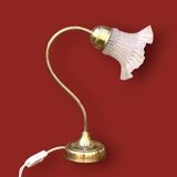 Antique brass and glass swan neck bedside lamp.