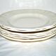 Series of 6 old plates in opaque earthenware of SARREGUEMINES Earth of iron cream 24.5cm