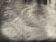 Country tablecloth 2m80