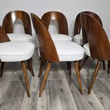 Dining Chairs by Antonin Suman, 1960s, Set of 6