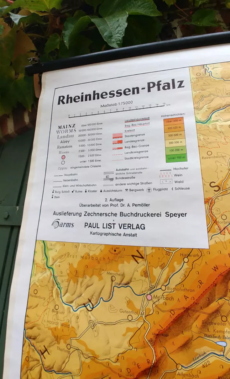 Map of the district of Rhenish Hesse and Palatinate 215 cm