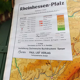 Map of the district of Rhenish Hesse and Palatinate 215 cm